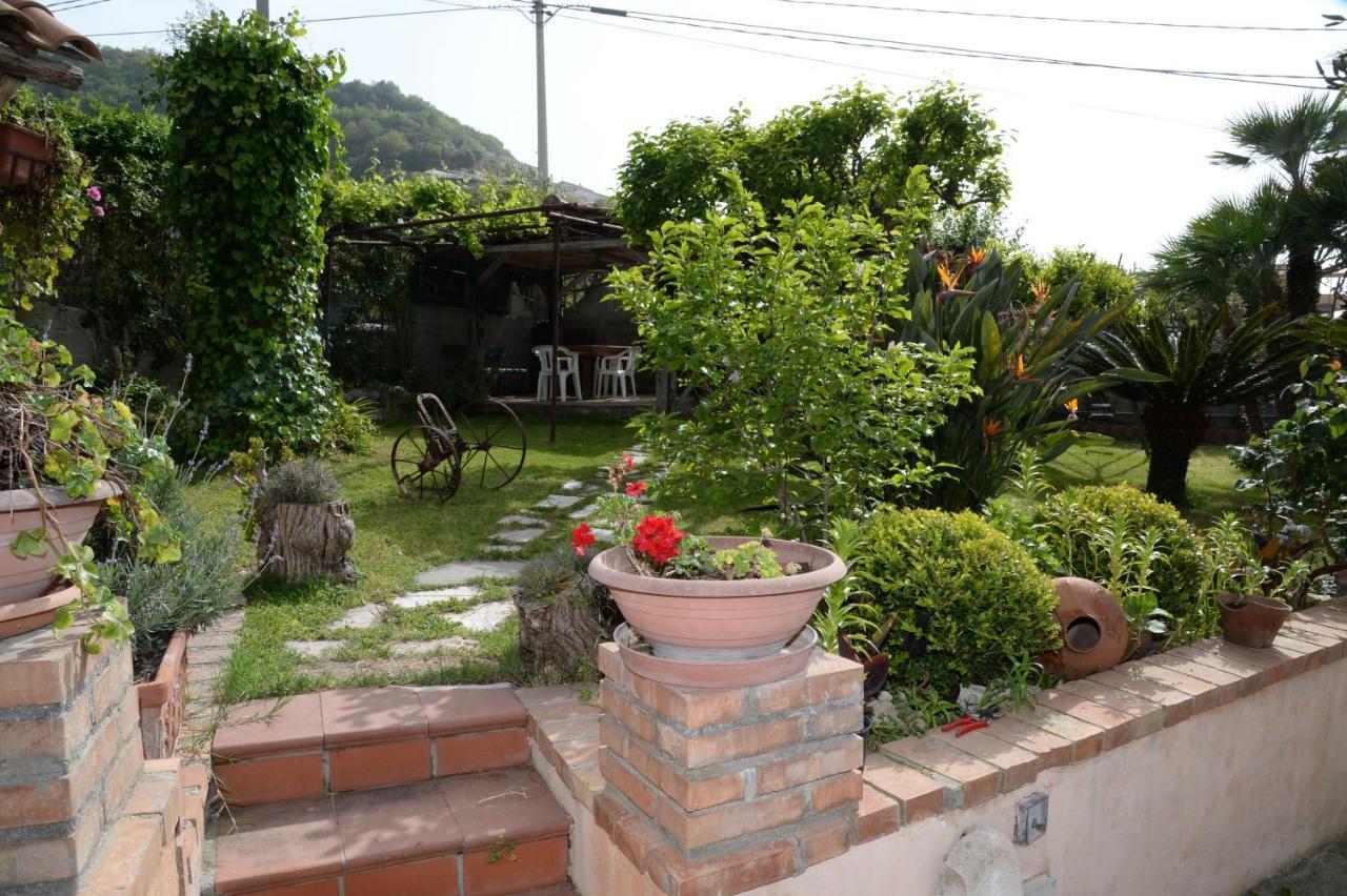 B&B Valeri Tropea Exteriör bild